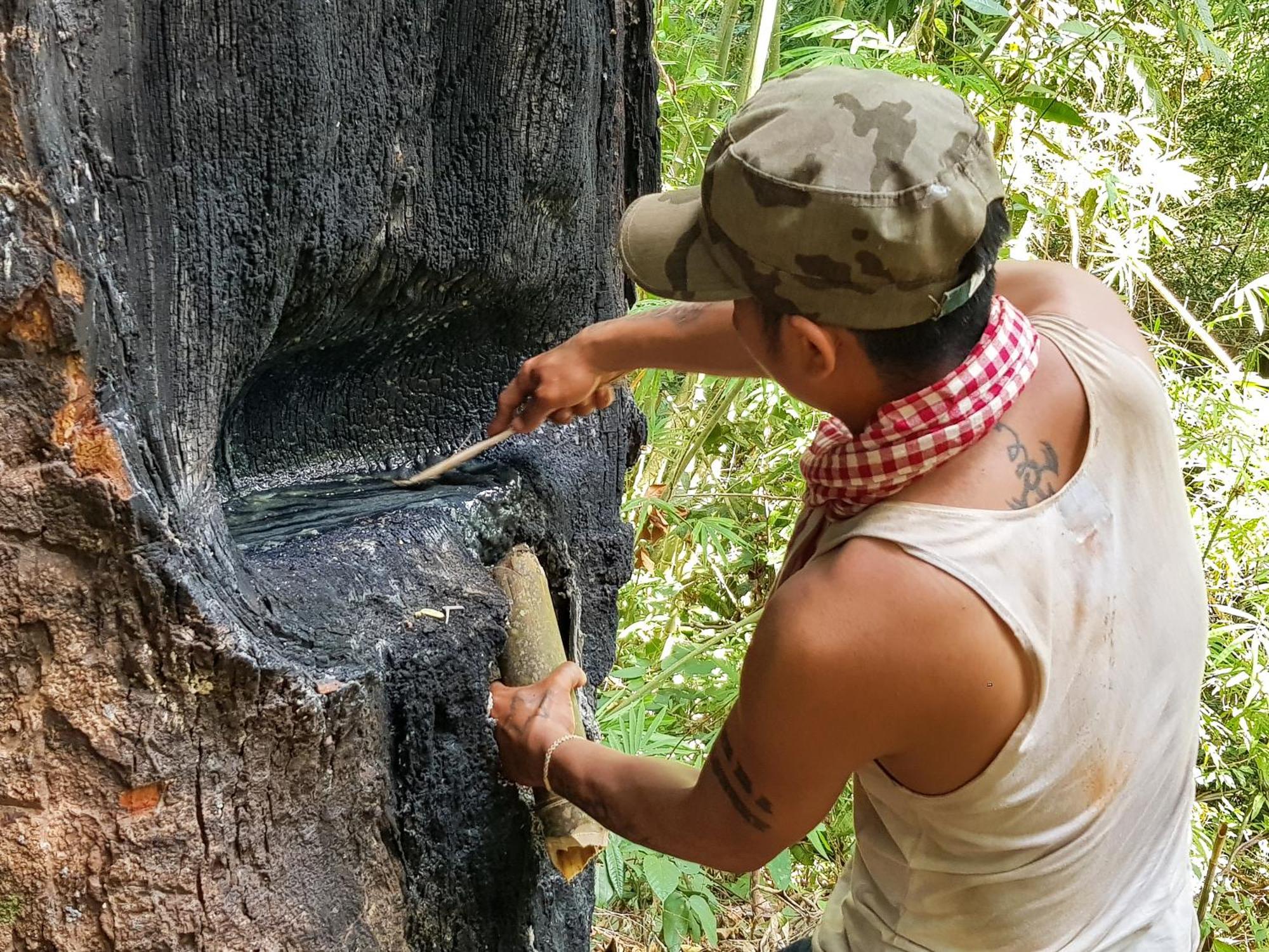Ratanakiri Homestay & Jungle Trek Banlung Esterno foto