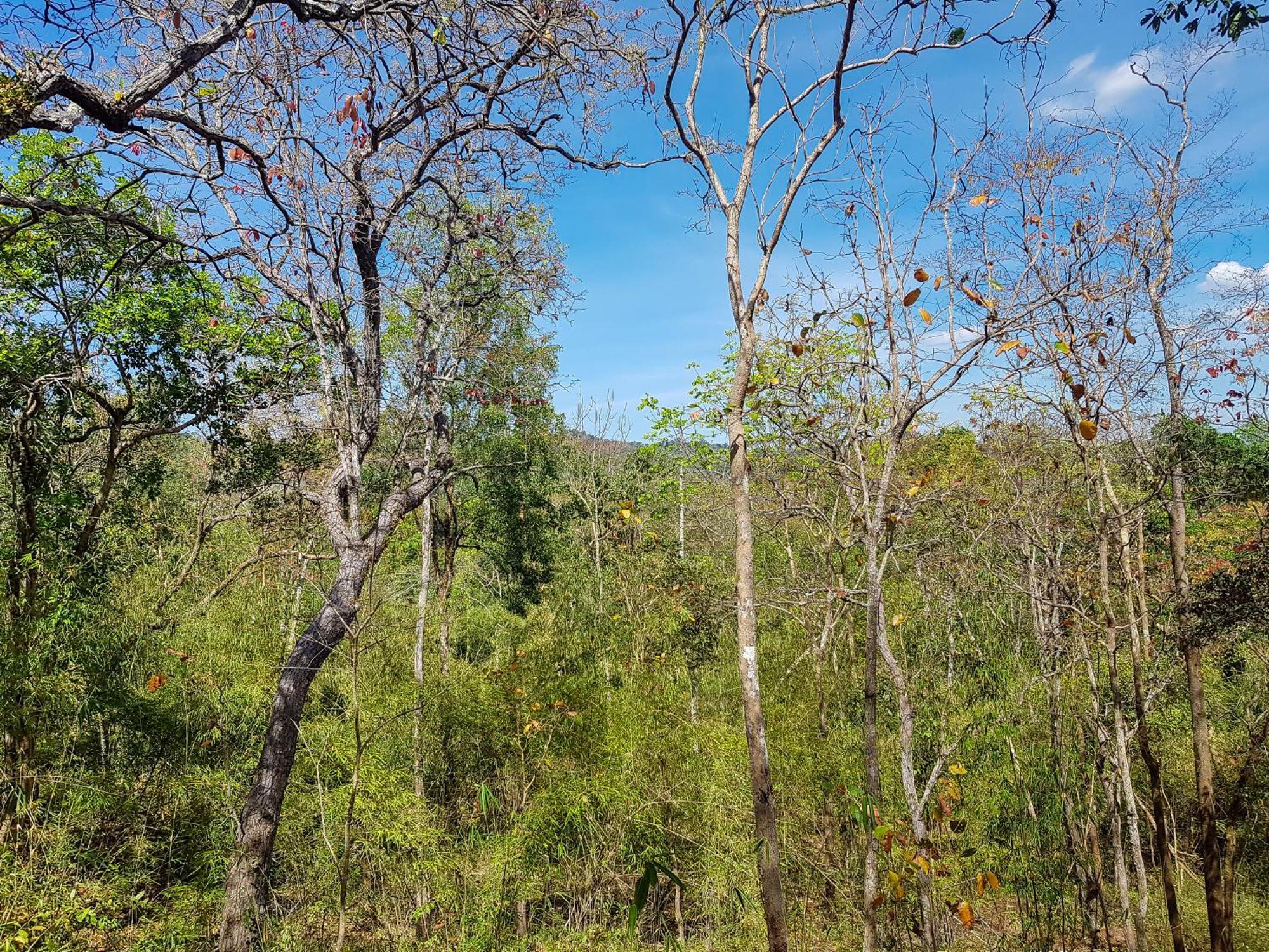 Ratanakiri Homestay & Jungle Trek Banlung Esterno foto
